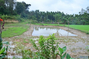 Varsha Gaddemane Homestay